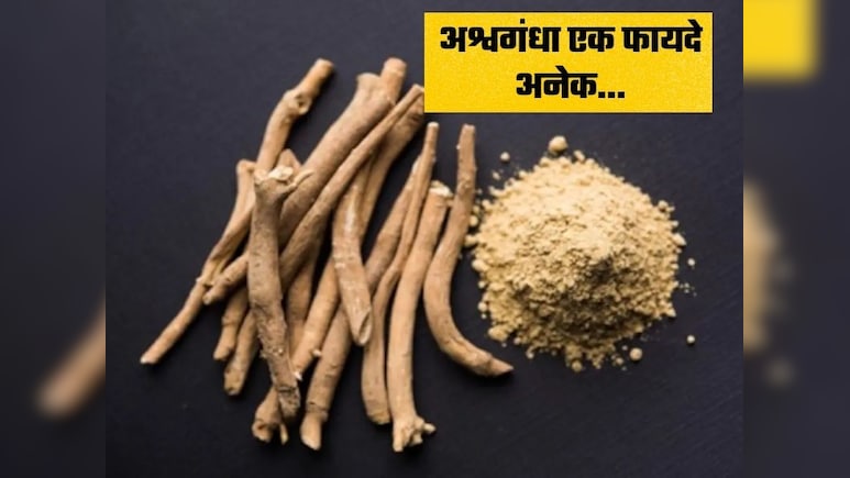 तनाव, नींद की कमी और जोड़ों का दर्द , अश्वगंधा से मिल सकता है तीनों का समाधान- स्टडी में खुलासा