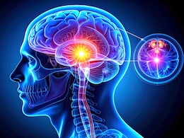 मटर के दाने जितनी छोटी ये ग्रंथि, नींद से लेकर मूड तक को करती है कंट्रोल