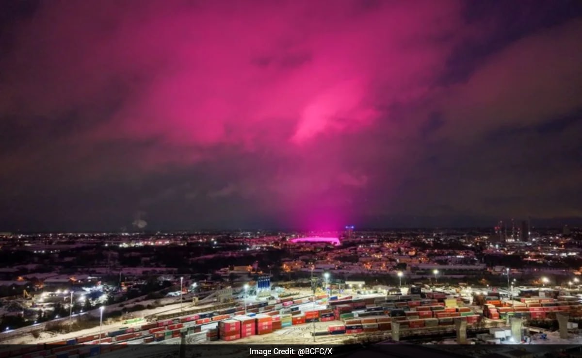 The Art of Baking: From Classic Bread to Artisan Pastries