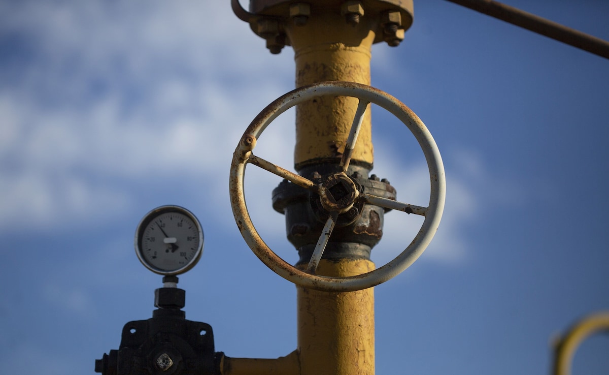 The Art of Baking: From Classic Bread to Artisan Pastries