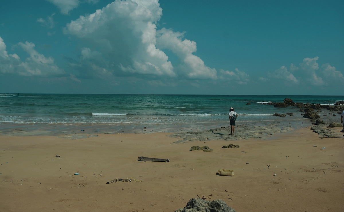 Latest and Breaking News on NDTV