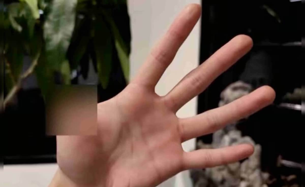 Latest and Breaking News on NDTV