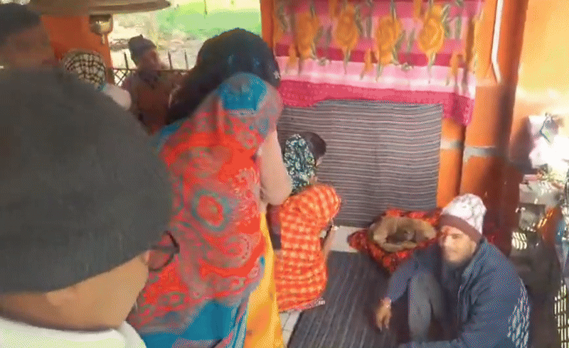 बिजनौर में मूर्ति की परिक्रमा करने वाले कुत्ते को भगवान मान पूजने लगे लोग, दर्शन के लिए लाइन