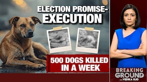 Votes Won, Voices Buried: 500 Dogs Killed In A Week In Telangana To Fulfil 'Election Promise'
