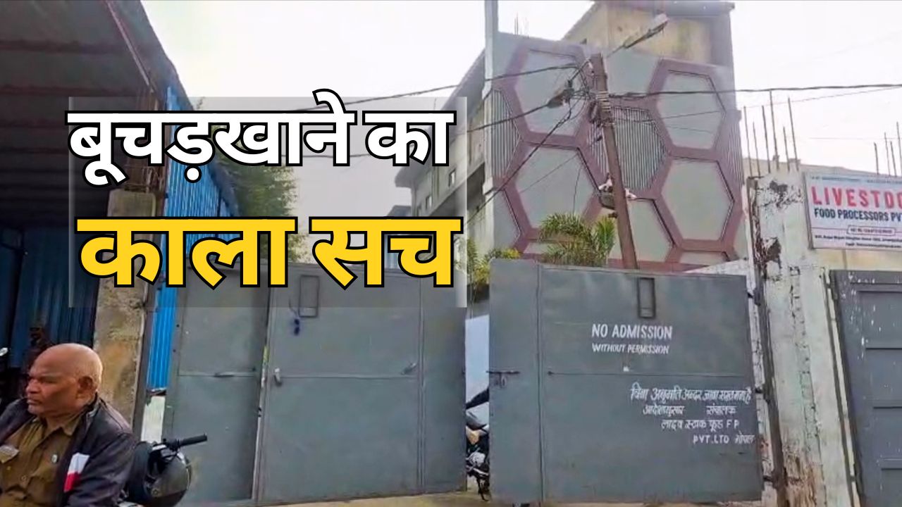 MP में गोवध पर रोक ,लेकिन भोपाल के बूचड़खाने में सैकड़ों गायों का कत्ल, सिस्टम आंख मूंद कर बैठा रहा?