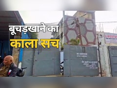 MP में गोवध पर रोक ,लेकिन भोपाल के बूचड़खाने में सैकड़ों गायों का कत्ल, सिस्टम आंख मूंद कर बैठा रहा?