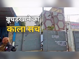 MP में गोवध पर रोक ,लेकिन भोपाल के बूचड़खाने में सैकड़ों गायों का कत्ल, सिस्टम आंख मूंद कर बैठा रहा?