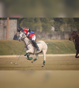 Jindal Bedla Extends Winning Streak With a Brilliant 9.5-5 Win vs Chandna Polo in KogniVera Cup