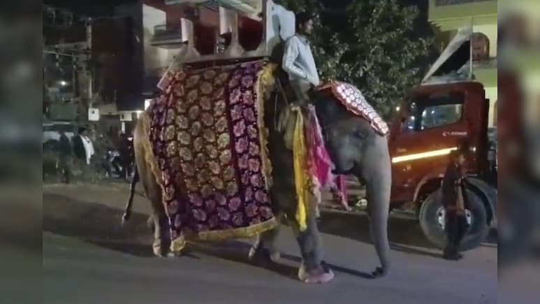 अलवर में बुजर्ग के निधन पर निकली भव्य शवयात्रा, जयपुर से मंगवाया हाथी; डीजे की धुन पर नाचे लोग