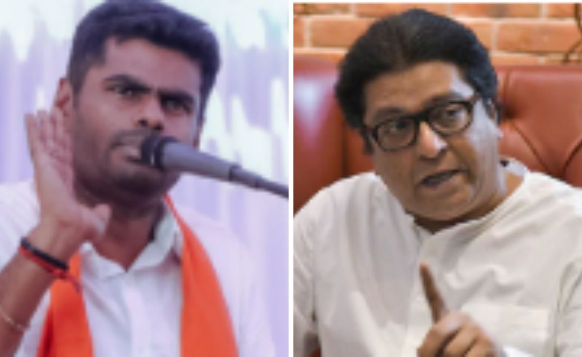 "Try Chopping Off Legs": K Annamalai Dares Raj Thackeray Amid "Rasmalai" Row