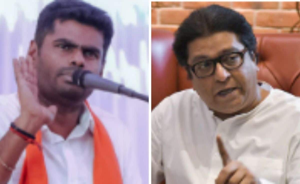"Try Chopping Off Legs": K Annamalai Dares Raj Thackeray Amid "Rasmalai" Row