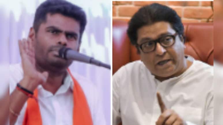 "Try Chopping Off Legs": K Annamalai Dares Raj Thackeray Amid "Rasmalai" Row