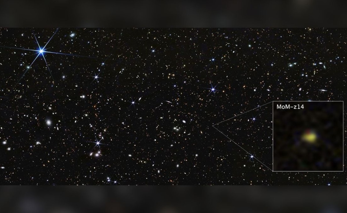 Latest and Breaking News on NDTV