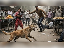 स्ट्रीट डॉग पर 'सुप्रीम' सुनवाई के बीच उज्जैन में पागल कुत्ते ने 40 लोगों को काटा, पकड़े जाने के कुछ देर बाद मौत