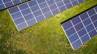 Waaree, Premier Energies In Focus: China's WTO Complaint Against India's Solar Push Puts Stocks In Spotlight