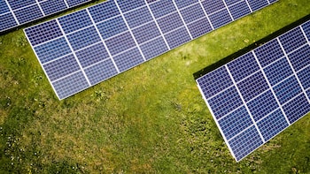 Waaree, Premier Energies In Focus: China's WTO Complaint Against India's Solar Push Puts Stocks In Spotlight