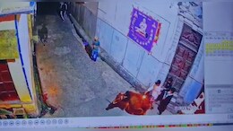 मंद&zwj;िर के सामने खड़ी गाय पर जलती तील&zwj;ियां डाली, CCTV फुटेज देखकर भड़के लोग&nbsp;