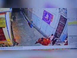 मंद&zwj;िर के सामने खड़ी गाय पर जलती तील&zwj;ियां डाली, CCTV फुटेज देखकर भड़के लोग&nbsp;