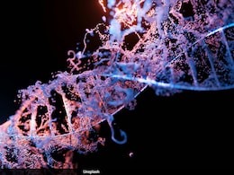 Breakthrough Fingerstick Test Set To Revolutionise Hepatitis B Screening