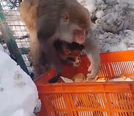 Latest and Breaking News on NDTV Latest and Breaking News on NDTV