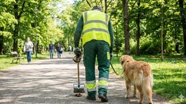 कुत्ते की पॉटी उठाने की नौकरी और कमाई 30 लाख से ज्यादा, ये जॉब करना चाहेंगे आप?