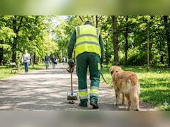कुत्ते की पॉटी उठाने की नौकरी और कमाई 30 लाख से ज्यादा, ये जॉब करना चाहेंगे आप?