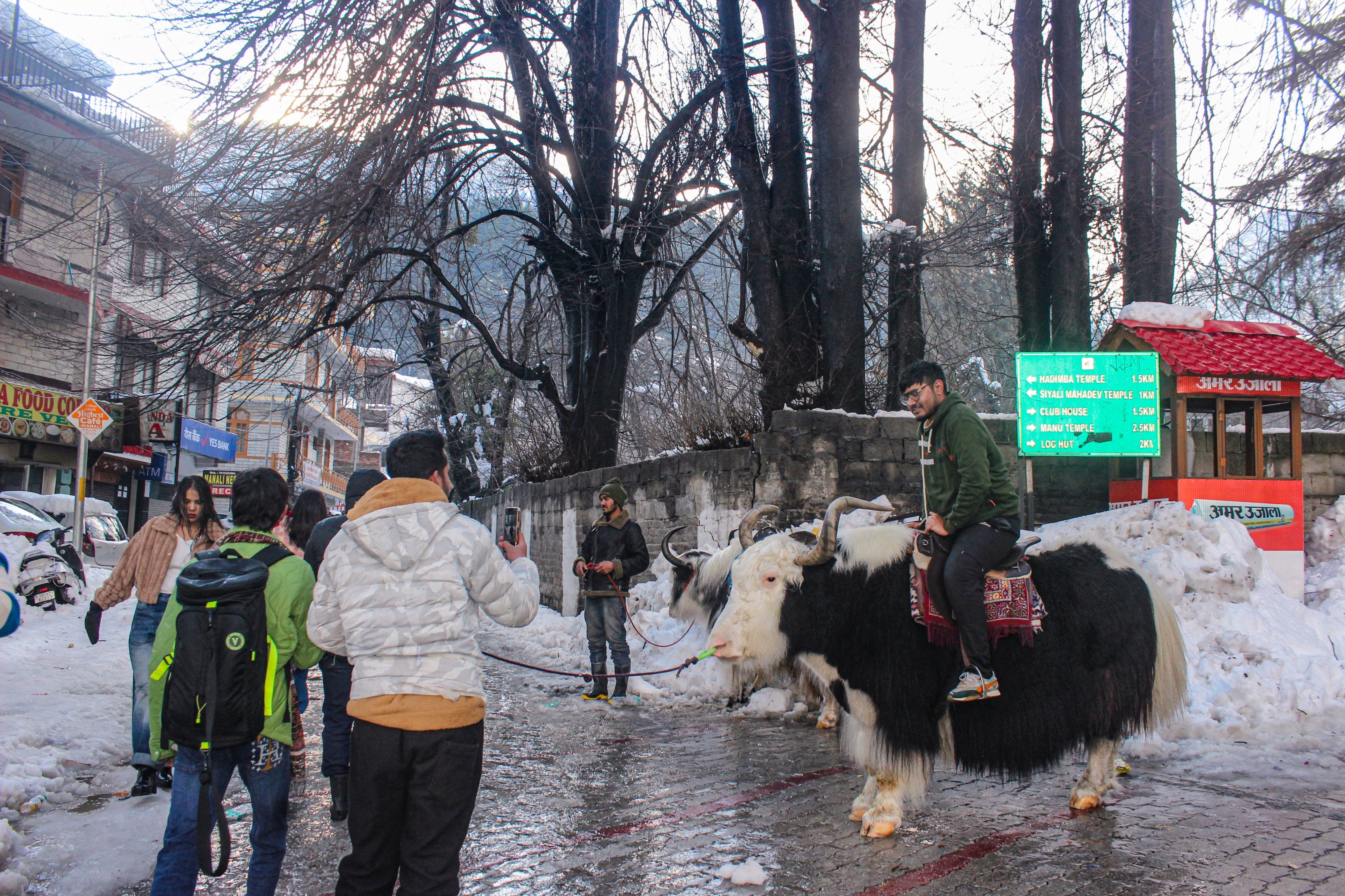 भारी बर्फबारी के बाद भी पर्यटकों का जोश कम नहीं है. भारी बर्फबारी के बाद भी पर्यटकों का जोश कम नहीं है.