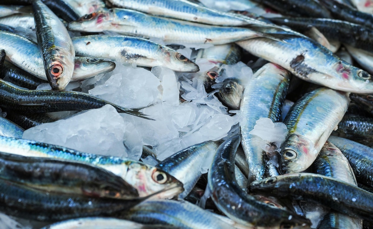 'Superstitious' Chinese Woman Lands in ICU After Eating Raw Fish Gallbladder To Treat Headache