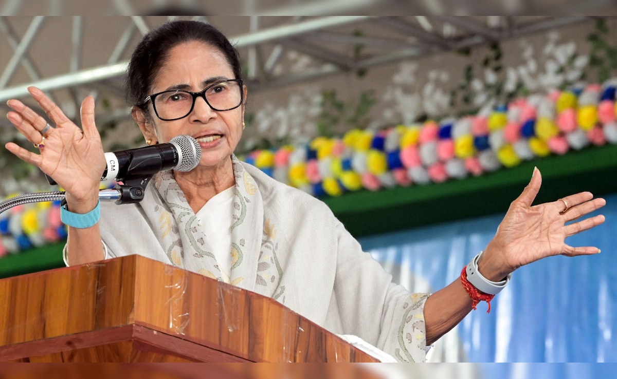 West Bengal Assembly Elections | Mamata Banerjee: The 'Rebel' Who Became  What She Fought Against