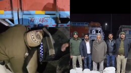 'Pushpa'-Style Smuggling Attempt Foiled, Drugs Worth Rs 25 Lakh Seized