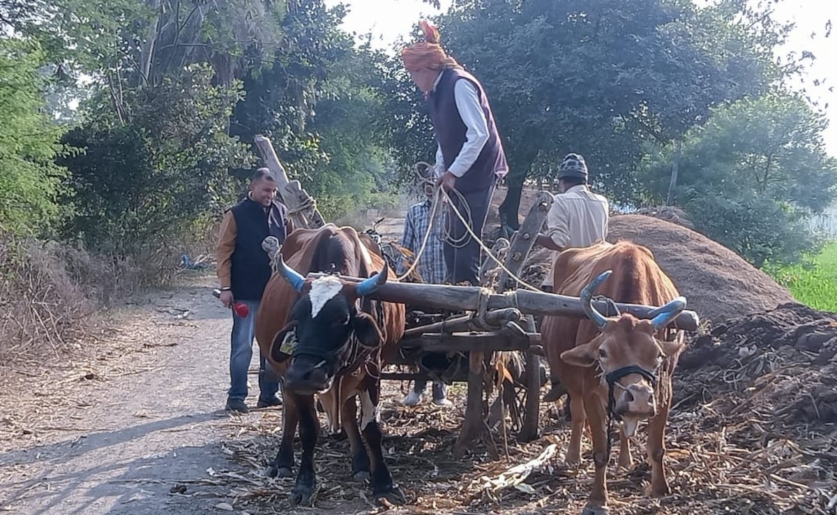 Madhya Pradesh Farmers Await A Fair Deal From Budget 2026