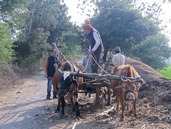 Madhya Pradesh Farmers Await A Fair Deal From Budget 2026