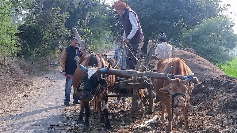 Madhya Pradesh Farmers Await A Fair Deal From Budget 2026