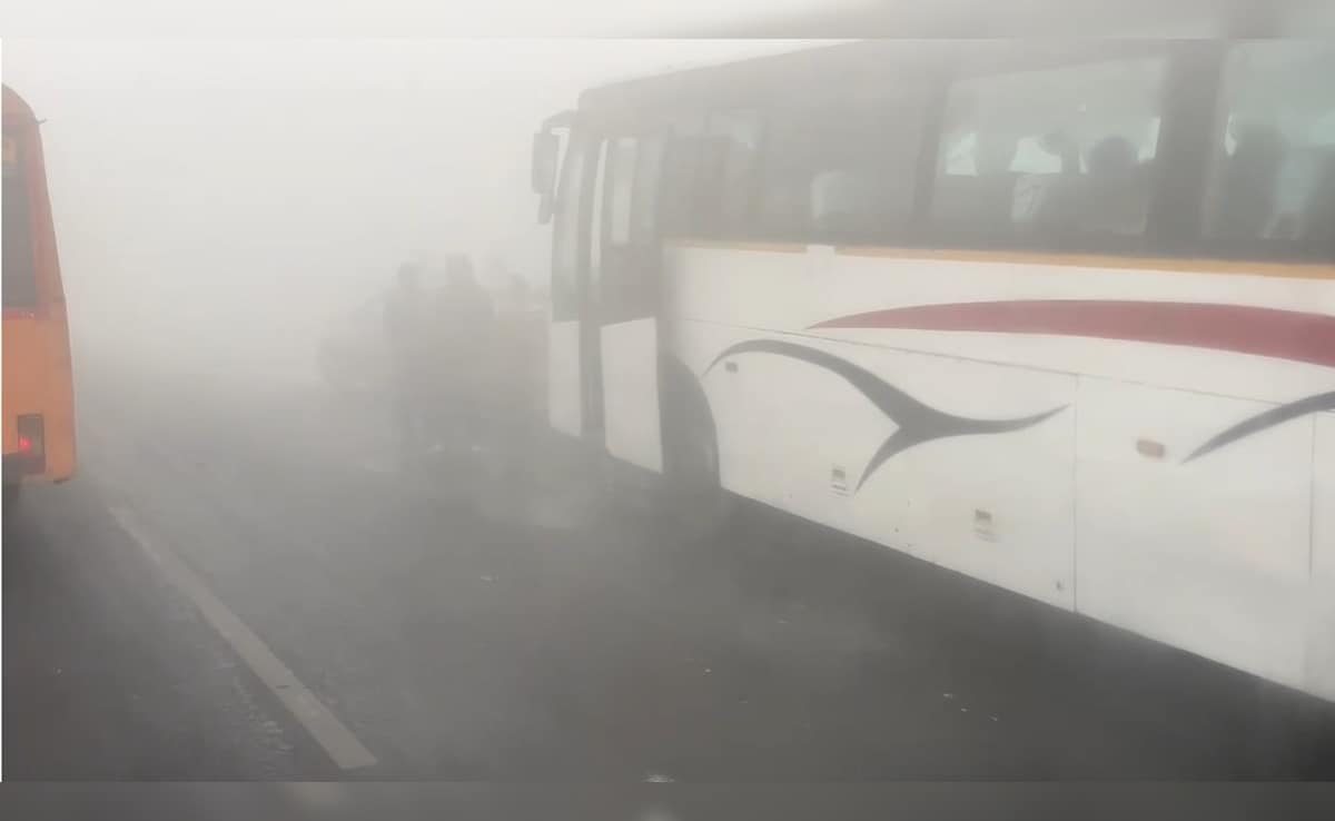 Latest and Breaking News on NDTV