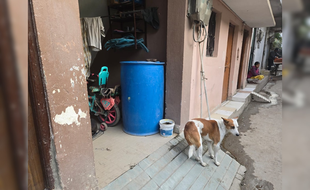 Latest and Breaking News on NDTV