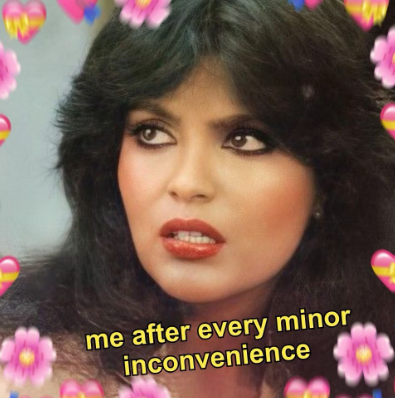 Zeenat Aman In A Gen-Z Styled "Meme-At Aman Series" For Breaking Her 2023 Promise. Apology Accepted