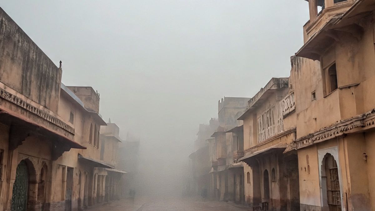 दिल्ली से पंजाब तक ठंड से ठिठुरे लोग, जयपुर में विजिबिलिटी हुई शून्य, 16 जनवरी तक ऑरेंज अलर्ट जारी