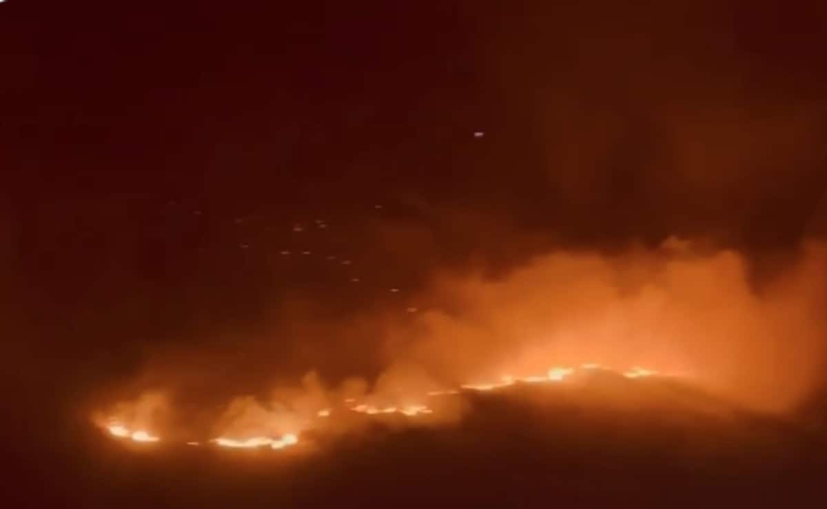 No Snow, Forest Fire Rages For 2 Days Near China Border In Sikkim