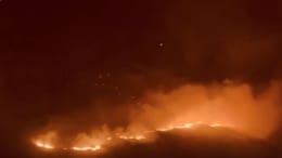 No Snow, Forest Fire Rages For 2 Days Near China Border In Sikkim