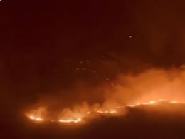 No Snow, Forest Fire Rages For 2 Days Near China Border In Sikkim