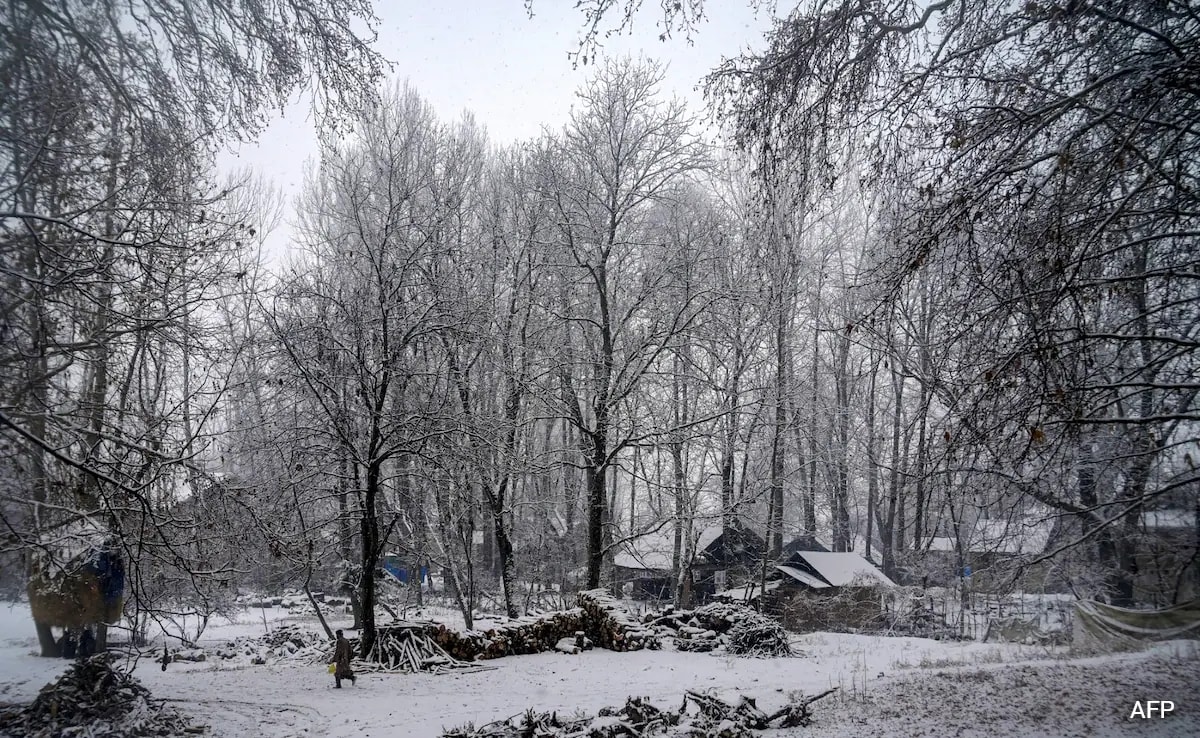 Jammu Colder Than Snow-Clad Gulmarg; Srinagar Shivers At -5.2 Degrees Celsius