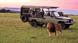 6 Countries Around The World That Are Popular For Their Wildlife