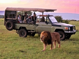 6 Countries Around The World That Are Popular For Their Wildlife