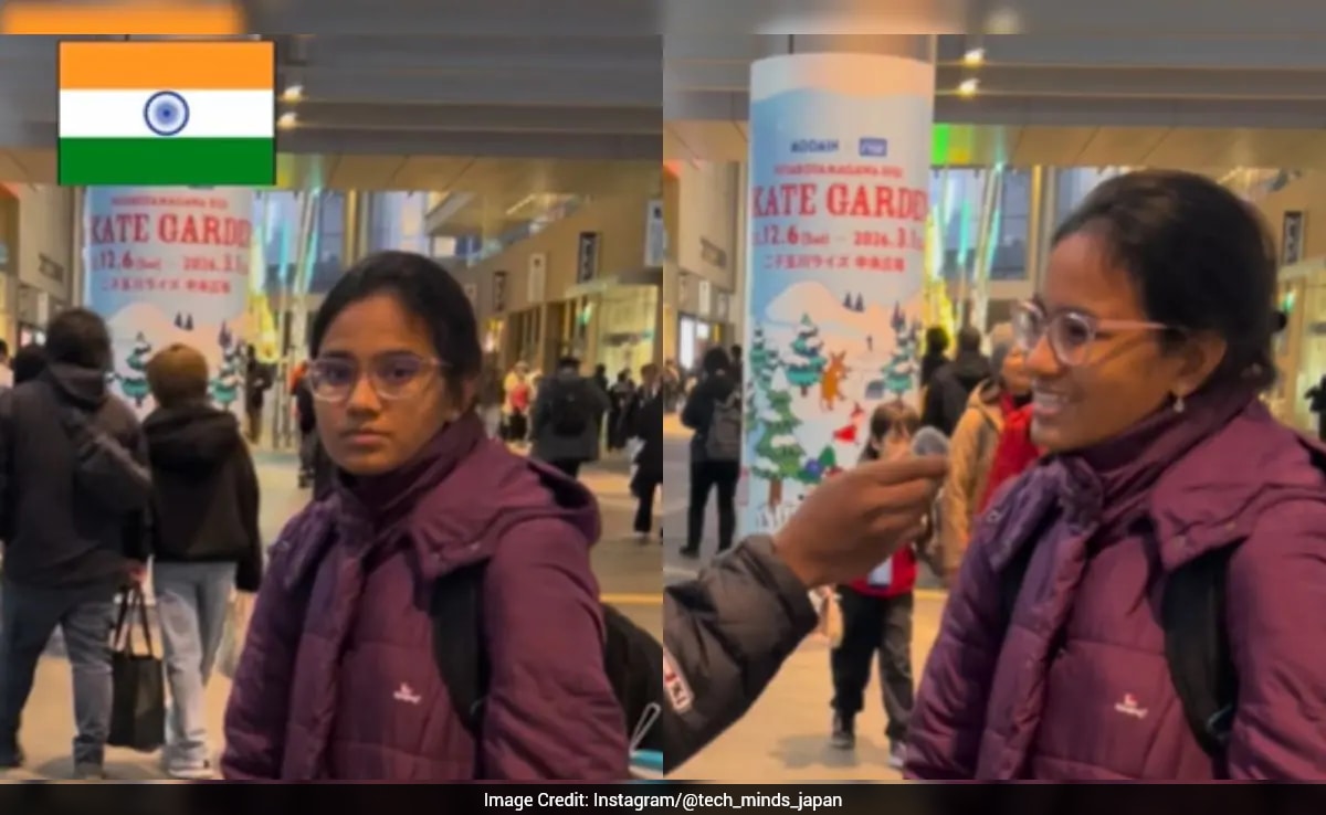 Indian Professionals Share Perspectives on Work Culture Differences Between India and Japan