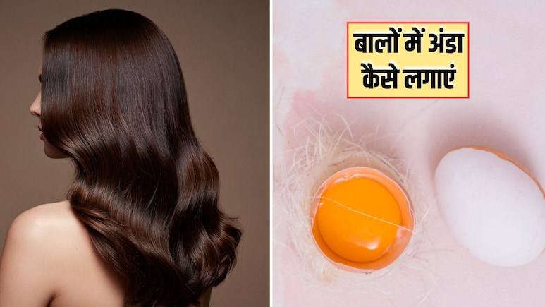 सर्दियों में ड्रायनेस से चली बालों की चमक? आज ही लगाएं अंडे के ये 3 हेयर मास्क, शाइनी और सिल्की हो जाएंगे बाल