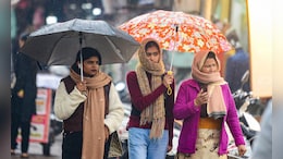 एमपी में ठीक नहीं मौसम का मिजाज; भोपाल, ग्वालियर, कटनी समेत कई जिलों में बारिश की संभावना