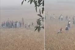 बिहार में जमीन विवाद पर महाभारत, खेतों में जमकर बजे लट्ठ, देखें खौफनाक मंजर