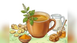 Ginger Tea: अदरक-तुलसी-हल्दी का काढ़ा सर्दियों में तेजी से बढ़ाता है इम्युनिटी, सर्दी-जुकाम और संक्रमण से मिलती है राहत &nbsp;&nbsp;
