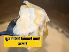 दूध उबालते समय इसमें डाल दें बस ये 1 चीज, रोटी से भी मोटी जमेगी मलाई
