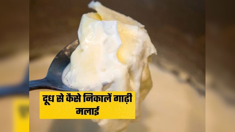 दूध उबालते समय इसमें डाल दें बस ये 1 चीज, रोटी से भी मोटी जमेगी मलाई